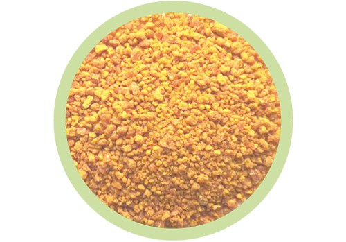 Corn Gluten Meal