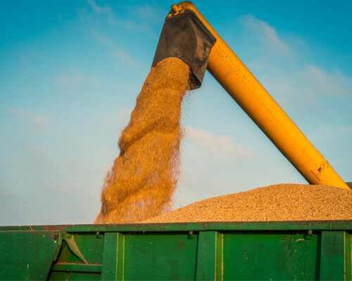 Qinhuangdao Lihua Starch Co., Ltd. — A Hub for Advanced Corn Processing