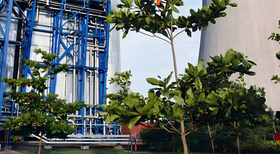 Qinhuangdao Lihua Starch